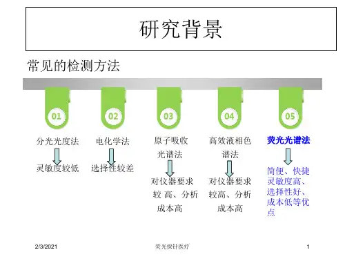 荧光探针医疗培训课件