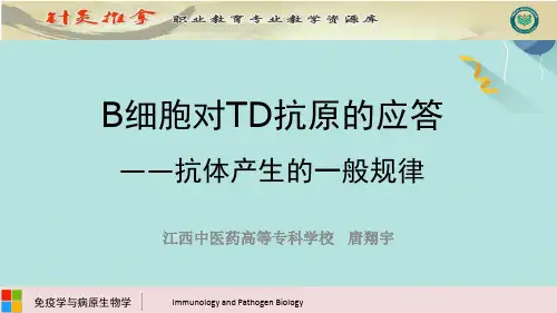 抗体产生的一般规律PPT资料优选版