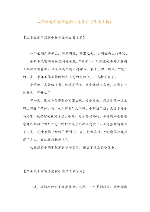 二年级看图写话爱护小鸟作文(优选3篇)