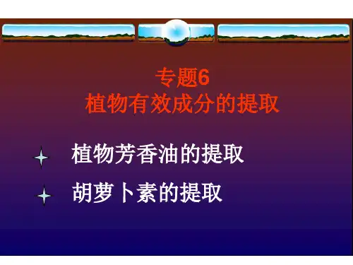 高中生物选修1专题六课件：植物有效成分的提取