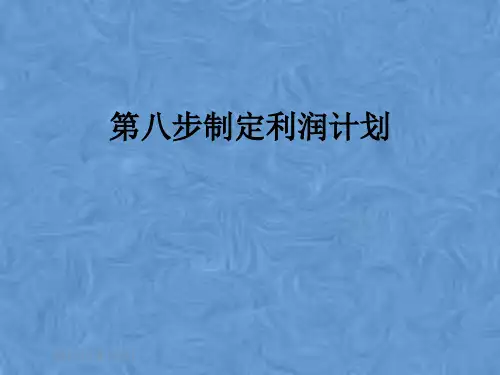 第八步制定利润计划