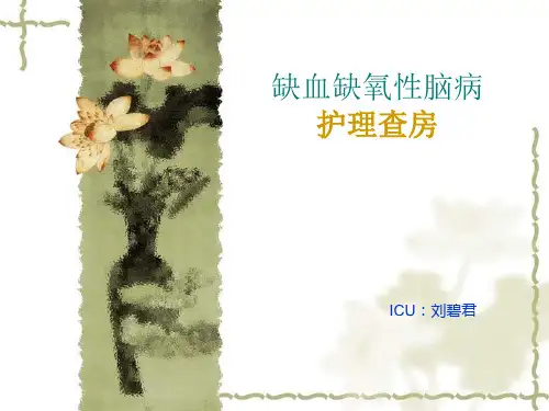 缺血缺氧脑病护理查房12精品PPT课件