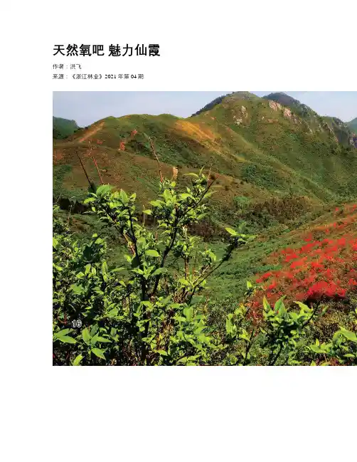天然氧吧 魅力仙霞