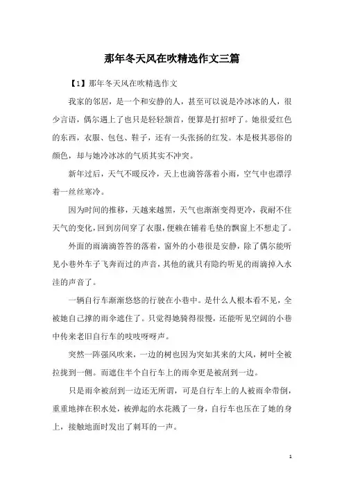 那年冬天风在吹精选作文三篇