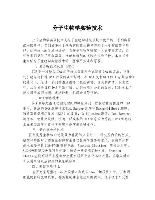 分子生物学实验技术
