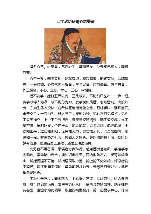 武学武功秘籍心意要诀