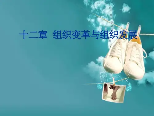 组织变革与组织发展ppt课件