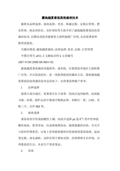 露地越夏番茄高效栽培技术