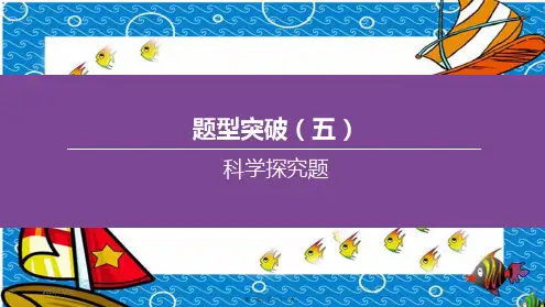 中考化学复习方案 题型突破05 科学探究题课件