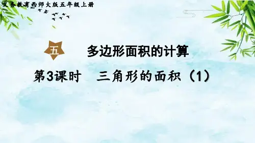 第3课时 三角形的面积(1) 五年级上册数学西师版