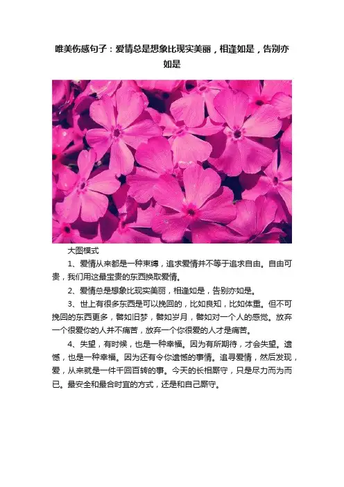 唯美伤感句子：爱情总是想象比现实美丽，相逢如是，告别亦如是