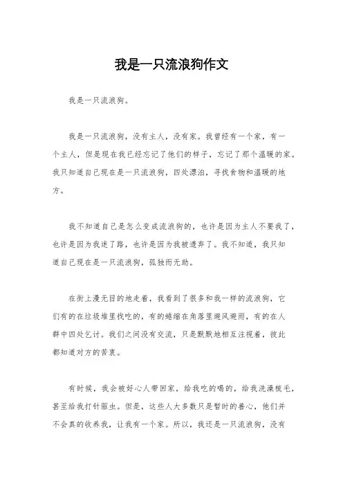 我是一只流浪狗作文