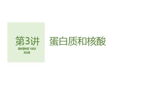 2024高考生物一轮复习课件 第1单元 第3讲 蛋白质和核酸(人教版新教材)