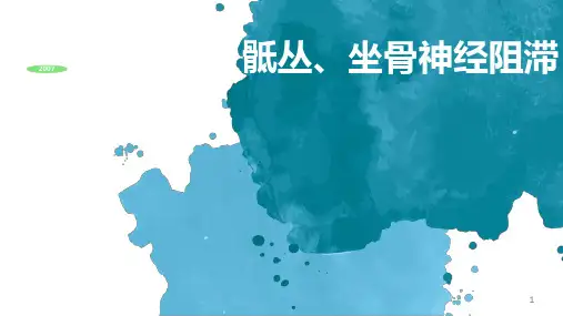 骶丛坐骨神经阻滞ppt课件