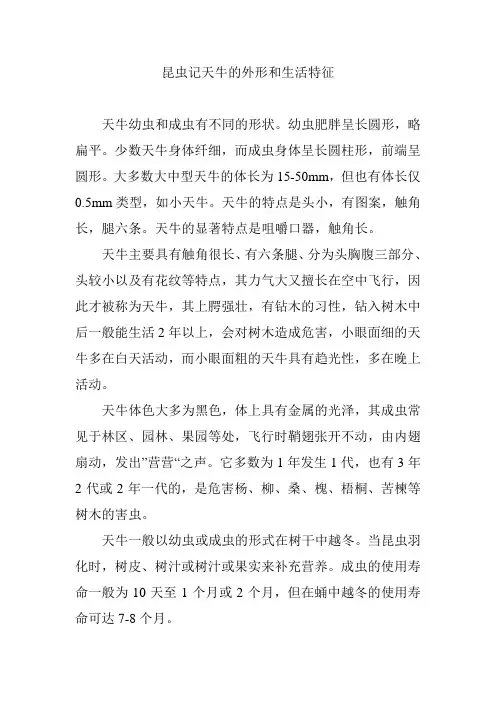 昆虫记天牛的外形和生活特征