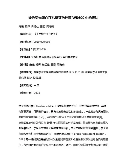 绿色荧光蛋白在枯草芽孢杆菌WB600中的表达