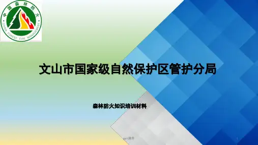 森林防火培训  ppt课件