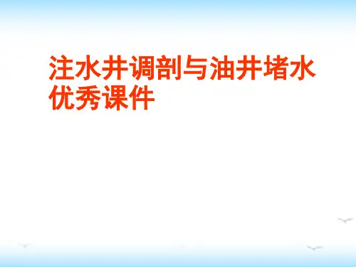 注水井调剖与油井堵水优秀课件