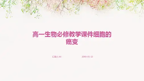 高一生物必修教学课件细胞的癌变