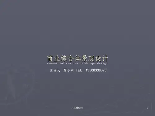 商业综合体景观设计ppt课件