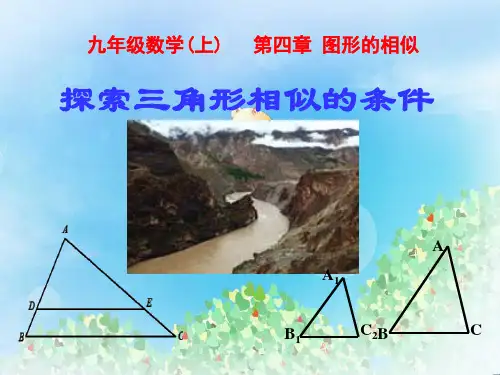 《探索三角形相似的条件》图形的相似PPT  图文