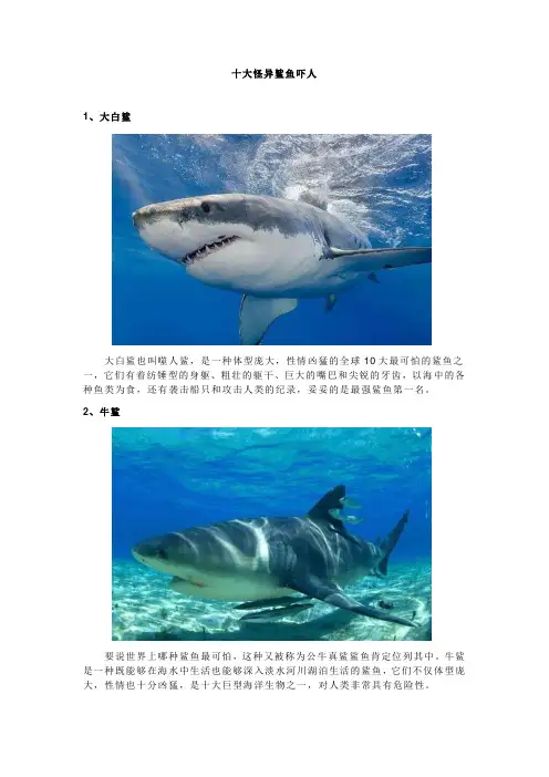 十大怪异鲨鱼吓人