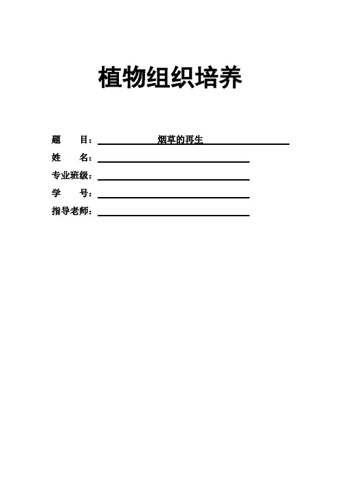 植物组织培养课程论文