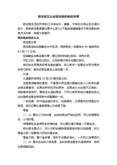 银龙鱼怎么养银龙鱼的栖息环境