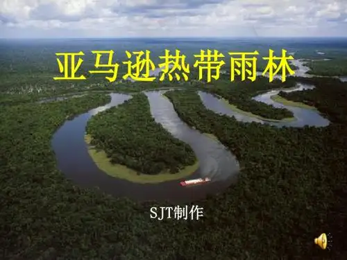 亚马逊热带雨林