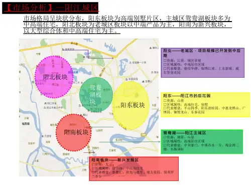 阳江房地产市场分析