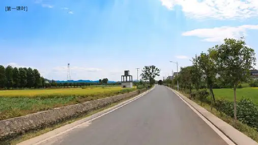 《铺满金色巴掌的水泥道》ppt课件