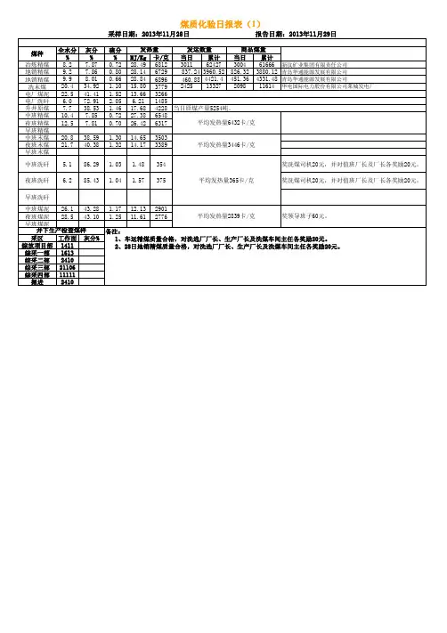 矿井煤质日报表模板