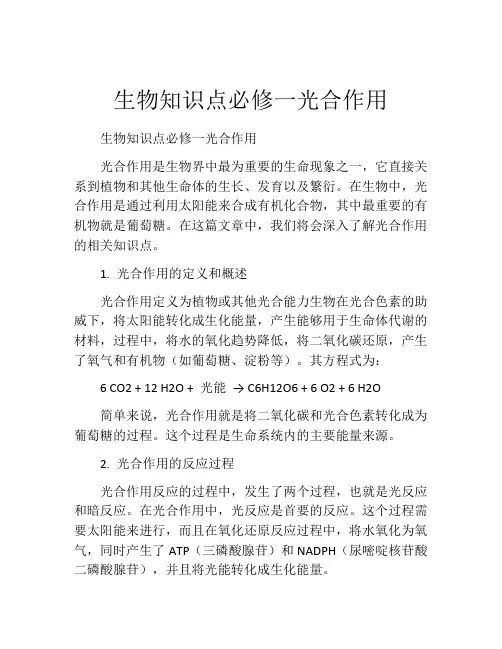 生物知识点必修一光合作用