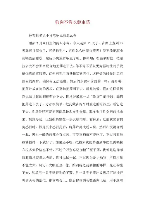 狗狗不肯吃驱虫药