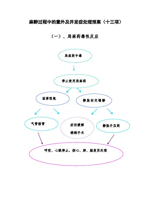 麻醉过程中的意外与并发症处理流程图