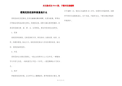 鸢尾花的花语和寓意是什么