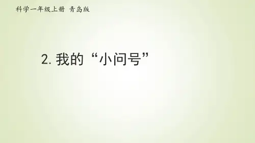 小学科学青岛版(六年制)一年级上册第2课《我的“小问号”》课件