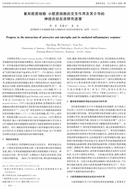 星形胶质细胞小胶质细胞的交互作用及其介导的神经炎症反应研究进展