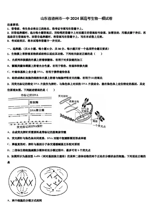 山东省德州市一中2024届高考生物一模试卷含解析