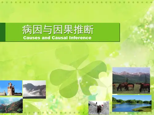 流行病学：病因与因果推断
