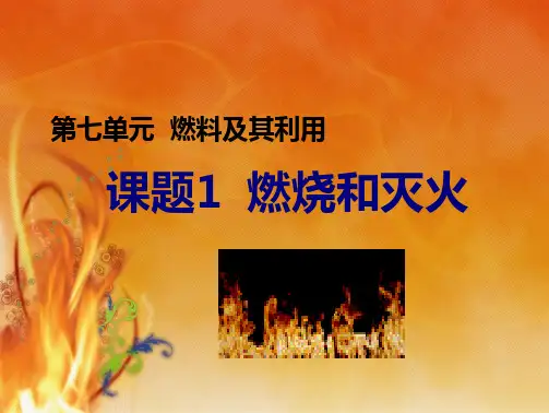 人教版九级化学上册第七单元课题1燃烧和灭火 新课课件(共46张PPT)