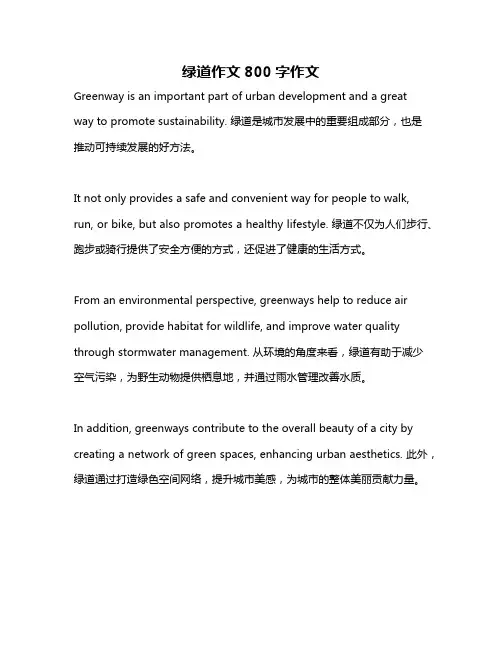 绿道作文800字作文