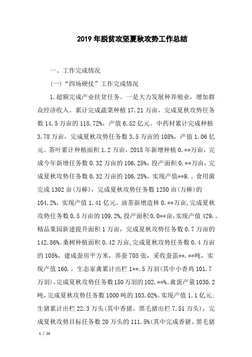 2019年脱贫攻坚夏秋攻势工作总结