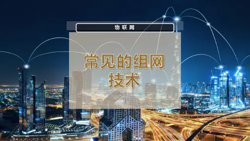 常见的组网技术