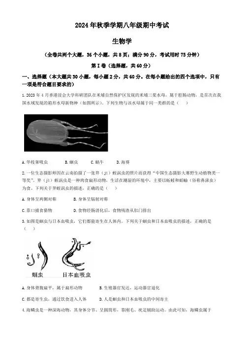 云南省昭通市威信县2024-2025学年八年级上学期期中生物学试题(含答案)