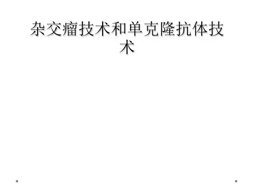 杂交瘤技术和单克隆抗体技术