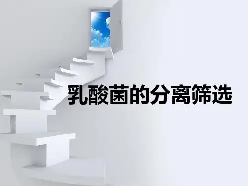 乳酸菌的筛选及应用