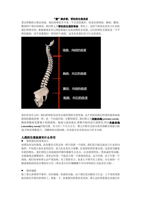 脊柱的生理曲度