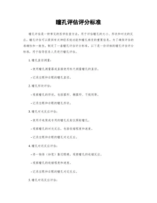 瞳孔评估评分标准