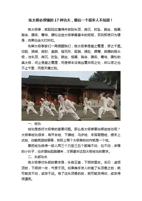 练太极必须懂的17种功夫，最后一个很多人不知道！